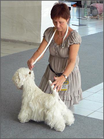 V1080056.JPG - Vilda