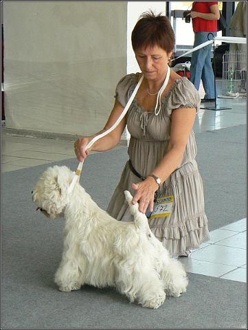 V1080057.JPG - Vilda