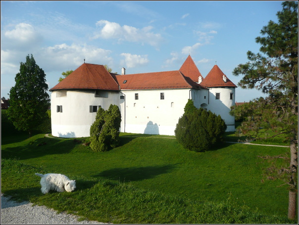 P1050939.JPG - Varaždin - 26.5.2012
