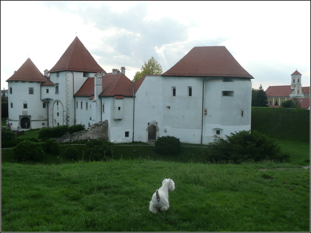 P1050953.JPG - Varaždin - 26.5.2012